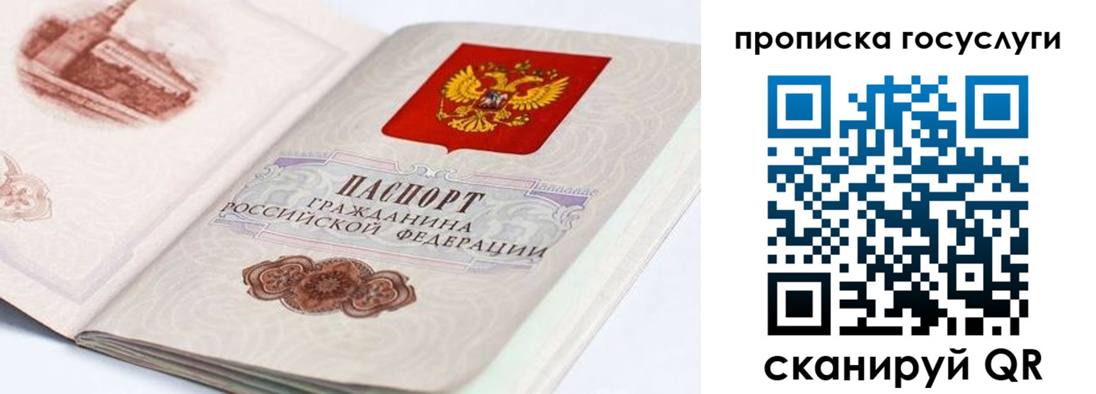 прописка гарантия в Нефтегорске